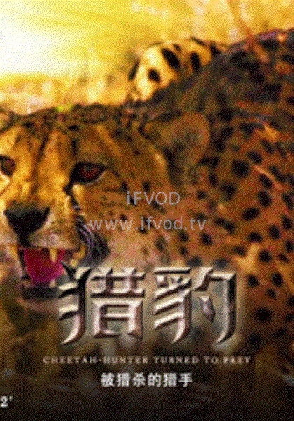 猎豹·被捕杀的猎手(全集)