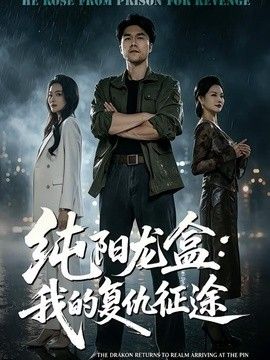 纯阳龙盒：我的复仇征途(全集)