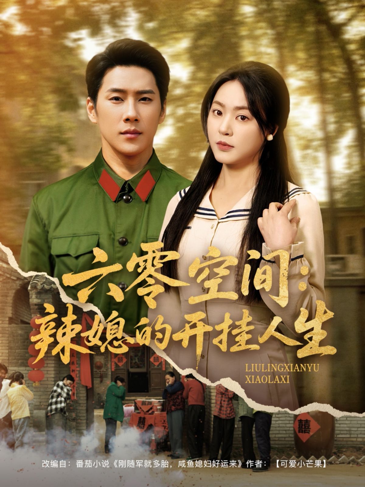 六零空间辣媳的开挂人生(全集)