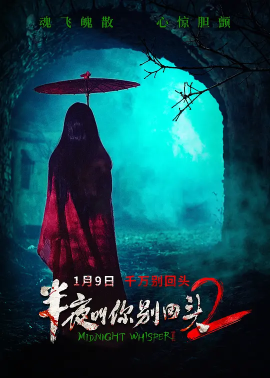 半夜叫你别回头2(全集)